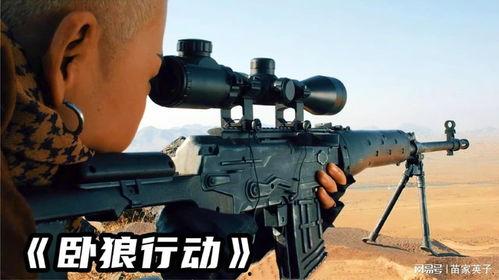 卧狼行动,揭秘神秘特工的惊险任务