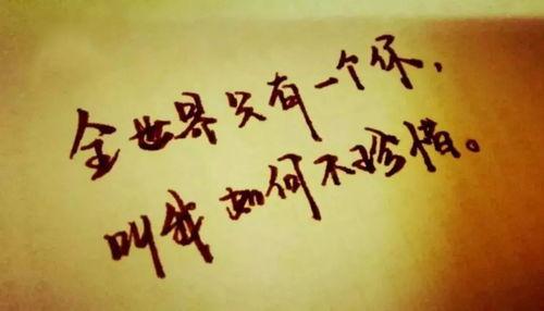 重活一世，自私老公他后悔了,自私老公痛改前非，深情守护前妻