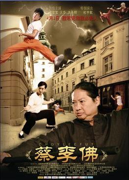 蔡李佛,传统武术的瑰宝与传承之路